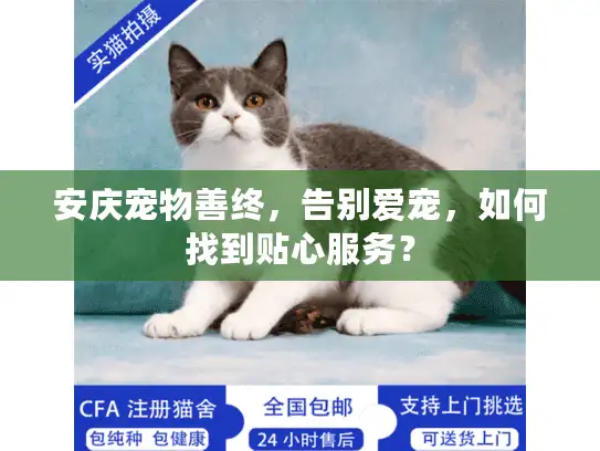 安庆宠物善终，告别爱宠，如何找到贴心服务？
