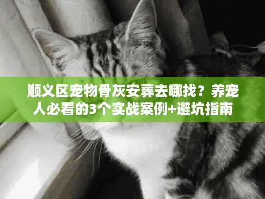 顺义区宠物骨灰安葬去哪找？养宠人必看的3个实战案例+避坑指南