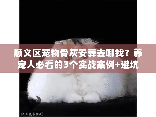 顺义区宠物骨灰安葬去哪找？养宠人必看的3个实战案例+避坑指南