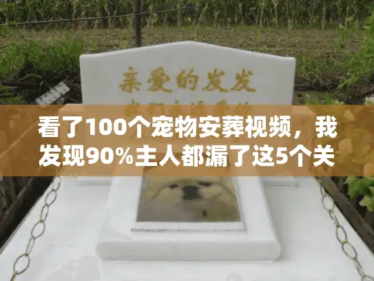 看了100个宠物安葬视频，我发现90%主人都漏了这5个关键服务细节