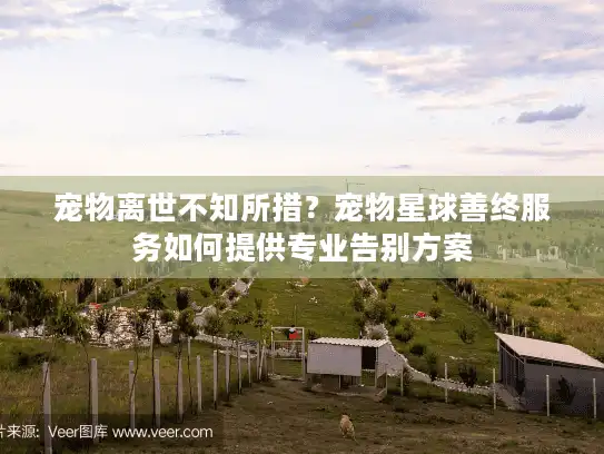 宠物离世不知所措？宠物星球善终服务如何提供专业告别方案