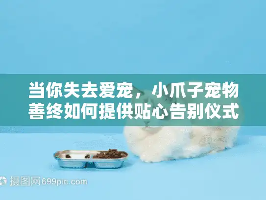 当你失去爱宠，小爪子宠物善终如何提供贴心告别仪式？