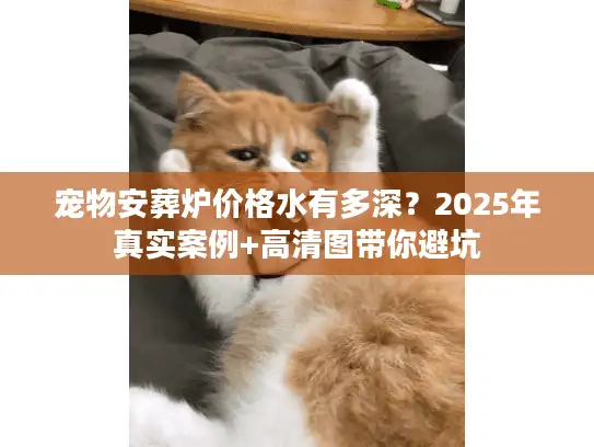 宠物安葬炉价格水有多深？2025年真实案例+高清图带你避坑
