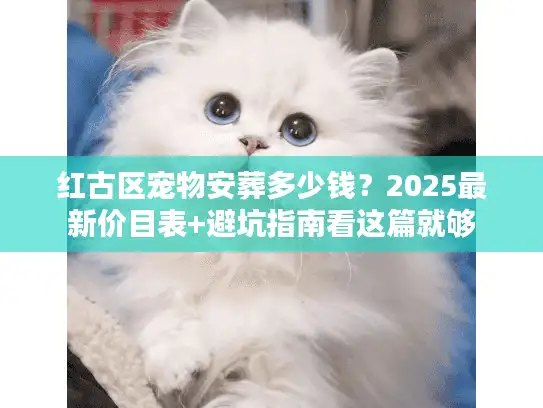 红古区宠物安葬多少钱？2025最新价目表+避坑指南看这篇就够