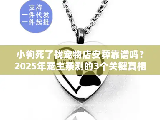 小狗死了找宠物店安葬靠谱吗？2025年宠主亲测的3个关键真相