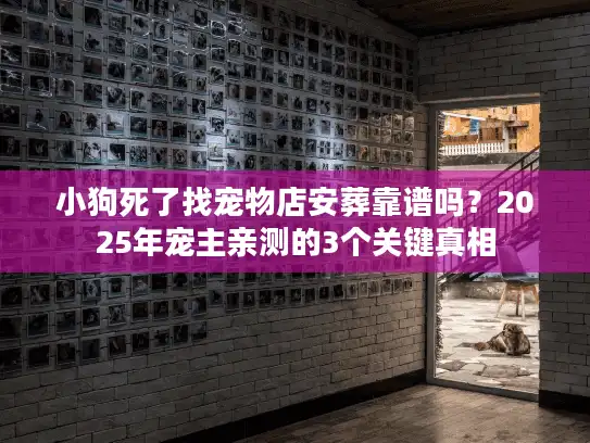 小狗死了找宠物店安葬靠谱吗？2025年宠主亲测的3个关键真相