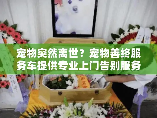 宠物突然离世？宠物善终服务车提供专业上门告别服务