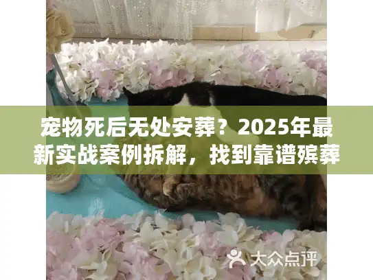 宠物死后无处安葬？2025年最新实战案例拆解，找到靠谱殡葬服务的3个关键