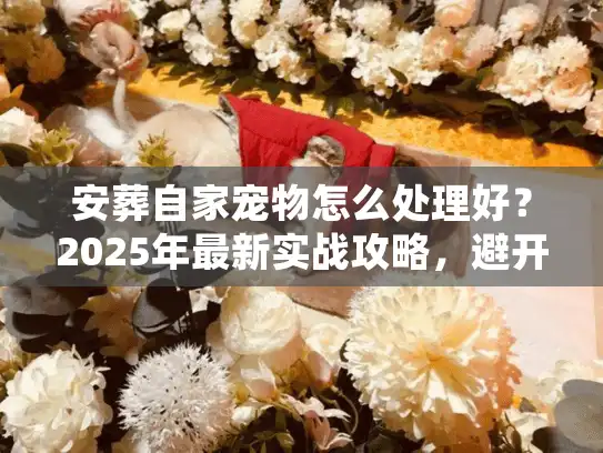 安葬自家宠物怎么处理好？2025年最新实战攻略，避开3个坑，选对服务不遗憾