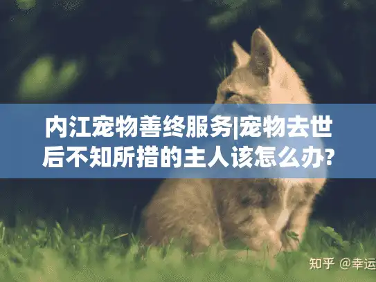 内江宠物善终服务|宠物去世后不知所措的主人该怎么办?