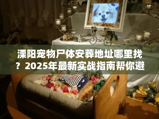 溧阳宠物尸体安葬地址哪里找？2025年最新实战指南帮你避坑
