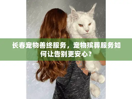 长春宠物善终服务，宠物殡葬服务如何让告别更安心？
