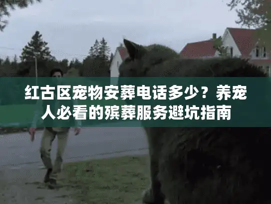 红古区宠物安葬电话多少？养宠人必看的殡葬服务避坑指南