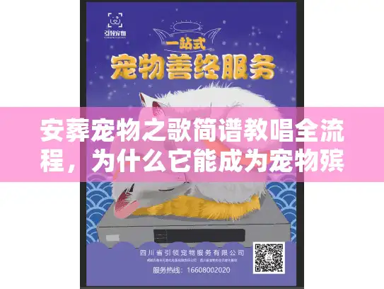安葬宠物之歌简谱教唱全流程，为什么它能成为宠物殡葬里最戳心的告别仪式？