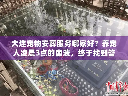 大连宠物安葬服务哪家好？养宠人凌晨3点的崩溃，终于找到答案