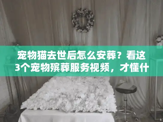 宠物猫去世后怎么安葬？看这3个宠物殡葬服务视频，才懂什么是真正的体面