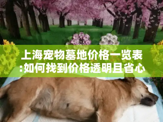 上海宠物墓地价格一览表:如何找到价格透明且省心的宠物安息地?