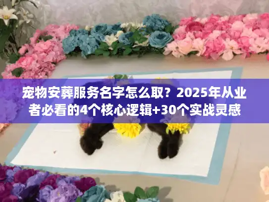宠物安葬服务名字怎么取？2025年从业者必看的4个核心逻辑+30个实战灵感