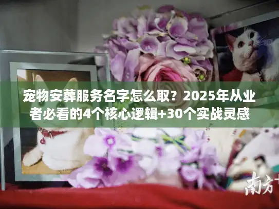 宠物安葬服务名字怎么取？2025年从业者必看的4个核心逻辑+30个实战灵感