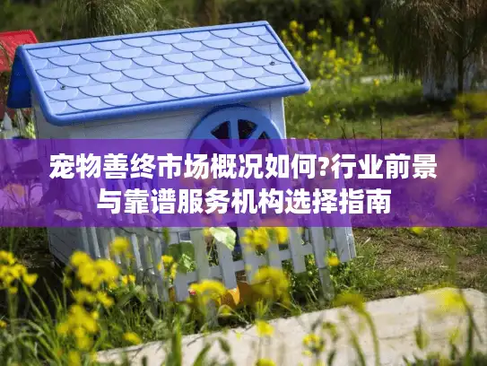 宠物善终市场概况如何?行业前景与靠谱服务机构选择指南