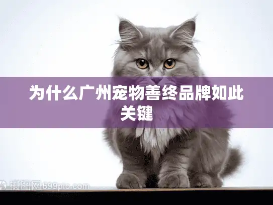 为什么广州宠物善终品牌如此关键