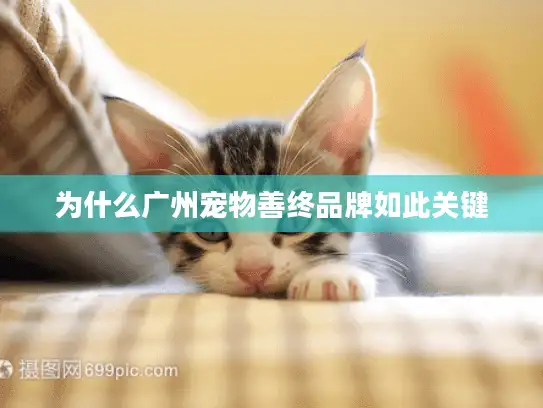 为什么广州宠物善终品牌如此关键