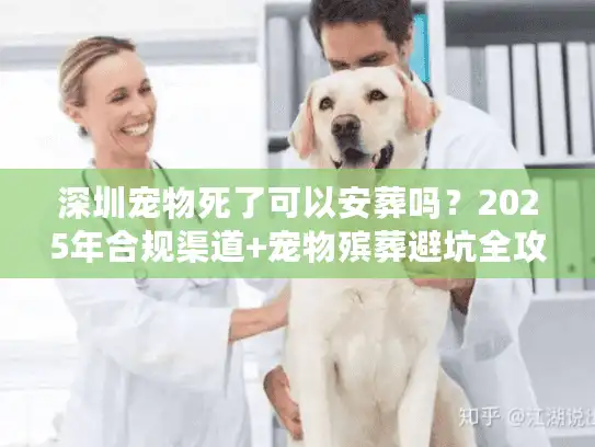 深圳宠物死了可以安葬吗？2025年合规渠道+宠物殡葬避坑全攻略