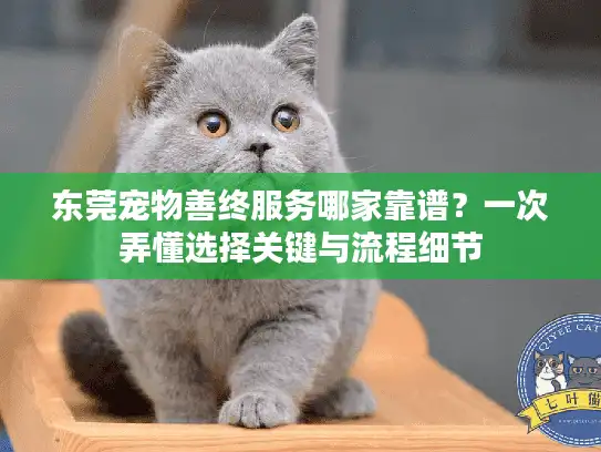 东莞宠物善终服务哪家靠谱？一次弄懂选择关键与流程细节