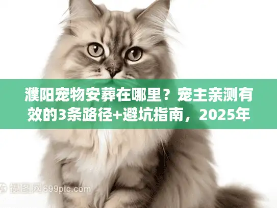 濮阳宠物安葬在哪里？宠主亲测有效的3条路径+避坑指南，2025年最新