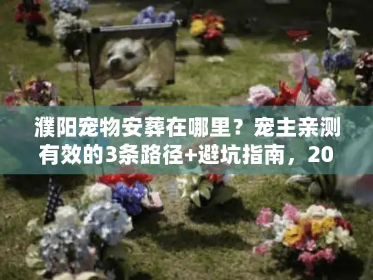 濮阳宠物安葬在哪里？宠主亲测有效的3条路径+避坑指南，2025年最新