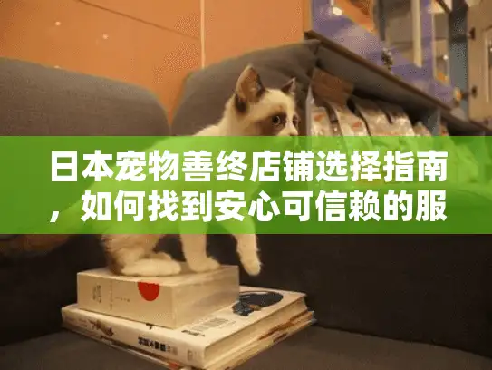 日本宠物善终店铺选择指南，如何找到安心可信赖的服务商？