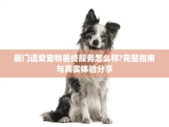 厦门遗爱宠物善终服务怎么样?完整指南与真实体验分享