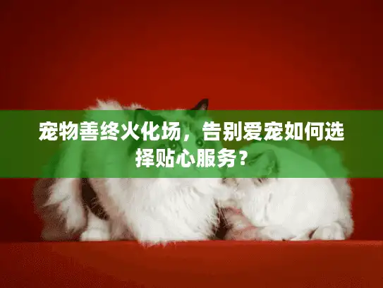 宠物善终火化场，告别爱宠如何选择贴心服务？