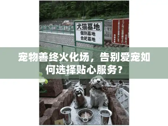 宠物善终火化场，告别爱宠如何选择贴心服务？