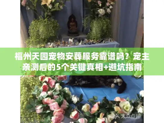 福州天园宠物安葬服务靠谱吗？宠主亲测后的5个关键真相+避坑指南