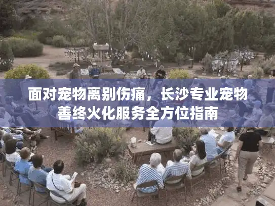 面对宠物离别伤痛，长沙专业宠物善终火化服务全方位指南