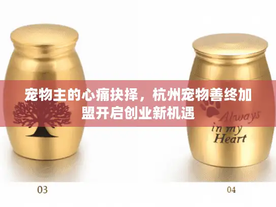 宠物主的心痛抉择，杭州宠物善终加盟开启创业新机遇