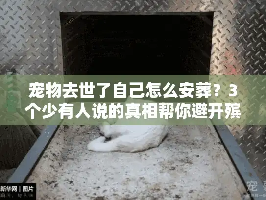宠物去世了自己怎么安葬？3个少有人说的真相帮你避开殡葬服务的坑