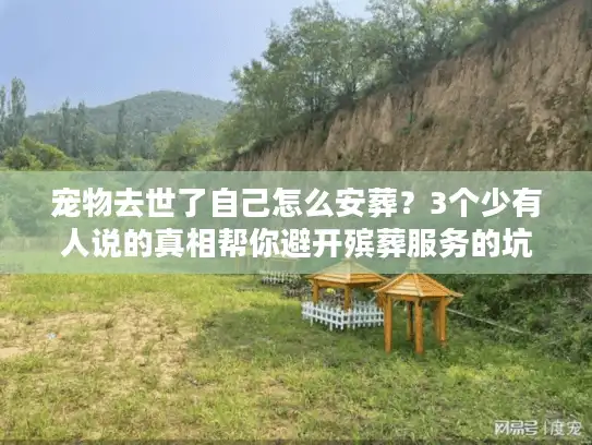 宠物去世了自己怎么安葬？3个少有人说的真相帮你避开殡葬服务的坑