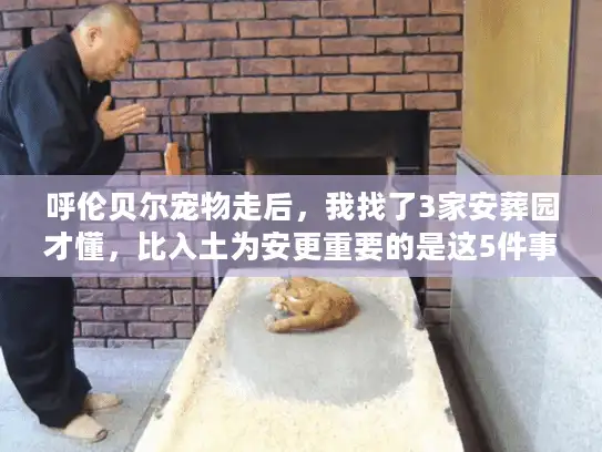 呼伦贝尔宠物走后，我找了3家安葬园才懂，比入土为安更重要的是这5件事