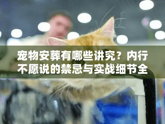 宠物安葬有哪些讲究？内行不愿说的禁忌与实战细节全揭秘