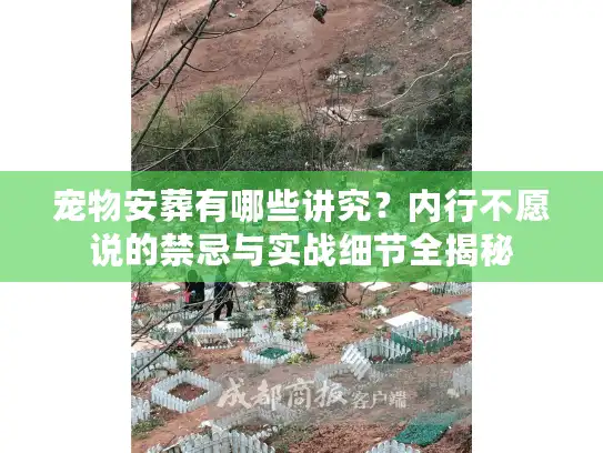 宠物安葬有哪些讲究？内行不愿说的禁忌与实战细节全揭秘