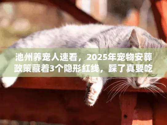 池州养宠人速看，2025年宠物安葬政策藏着3个隐形红线，踩了真要吃大亏！