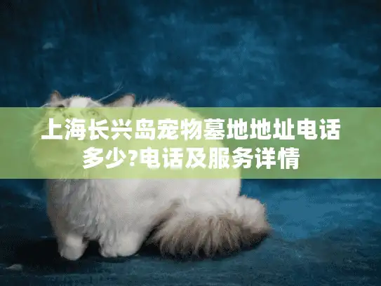上海长兴岛宠物墓地地址电话多少?电话及服务详情