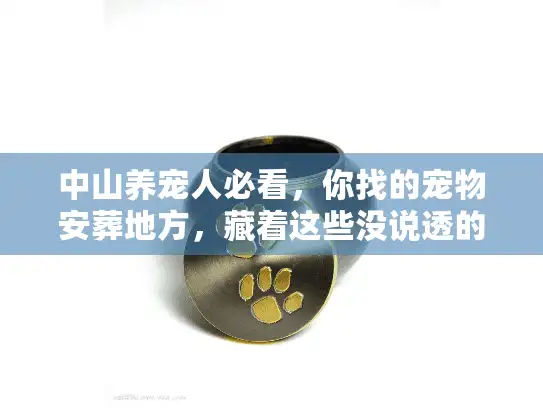 中山养宠人必看，你找的宠物安葬地方，藏着这些没说透的真相？