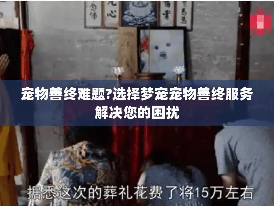 宠物善终难题?选择梦宠宠物善终服务解决您的困扰