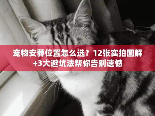 宠物安葬位置怎么选？12张实拍图解+3大避坑法帮你告别遗憾