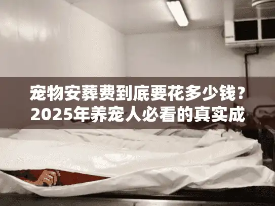 宠物安葬费到底要花多少钱？2025年养宠人必看的真实成本拆解+避坑指南