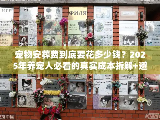 宠物安葬费到底要花多少钱？2025年养宠人必看的真实成本拆解+避坑指南