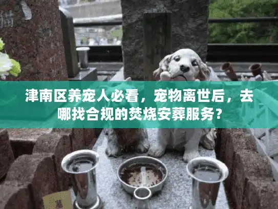 津南区养宠人必看，宠物离世后，去哪找合规的焚烧安葬服务？